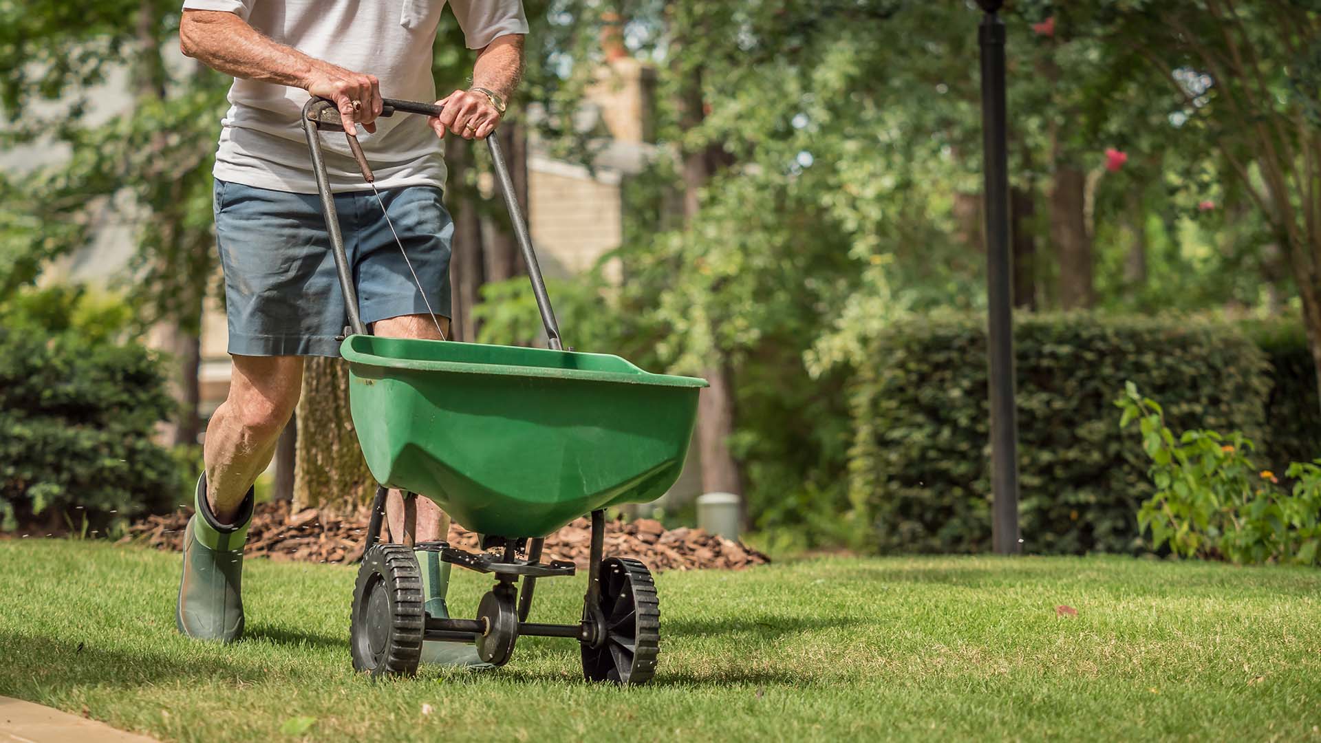 gazon bemesten met organische gazonmest