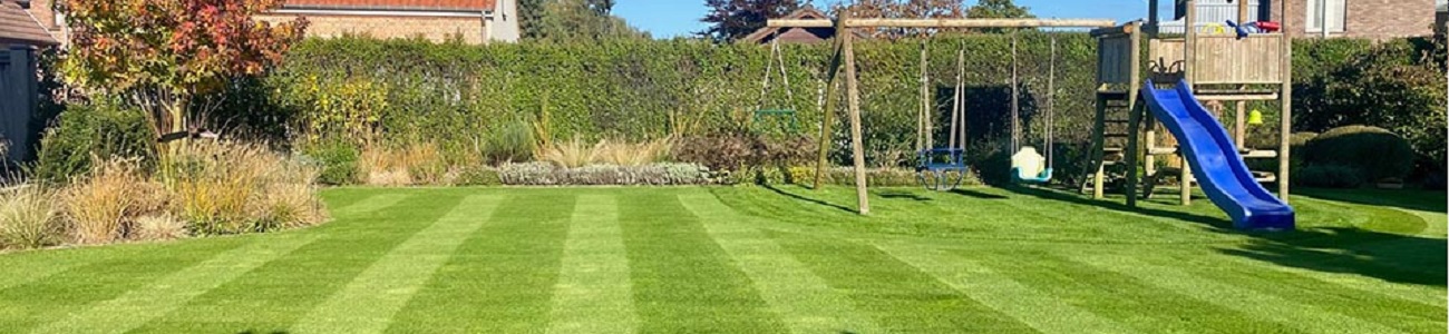 Gazonmest zomer voor een gezond en weerbaar gazon