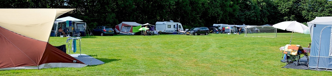 Graszaad voor recreatie- en campingterreinen met intensief gebruik – Tuintotaalshop
