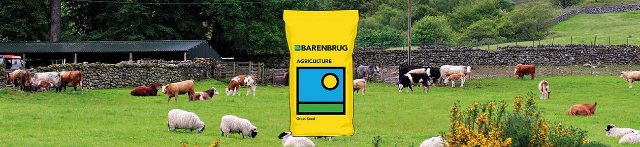 Graszaad voor dieren- en paardenweides met veilige en sterke grasmat – Tuintotaalshop