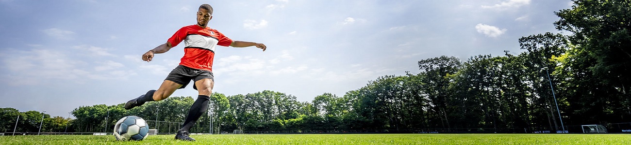 Graszaad voor sportvelden en intensief gebruikte grasvelden – Tuintotaalshop