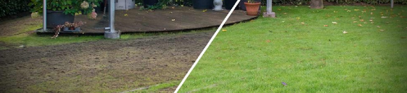 Snelkiemend graszaad voor herstel en doorzaaien van het gazon – Tuintotaalshop