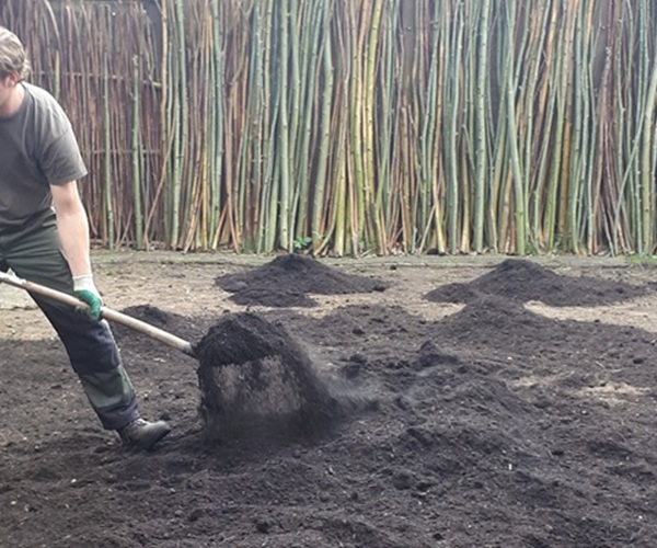 bodemverbeteraar champost en vivimus voor gazon en tuin