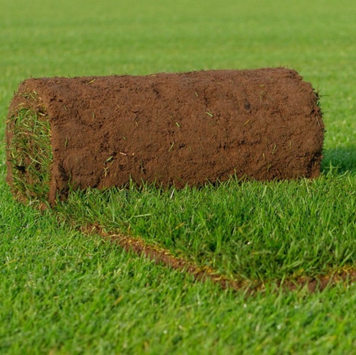 Eco natuurgras graszoden kopen