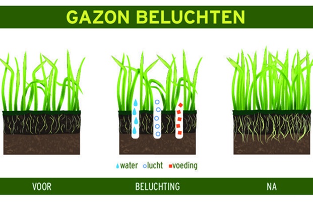 De voordelen van gazon beluchten
