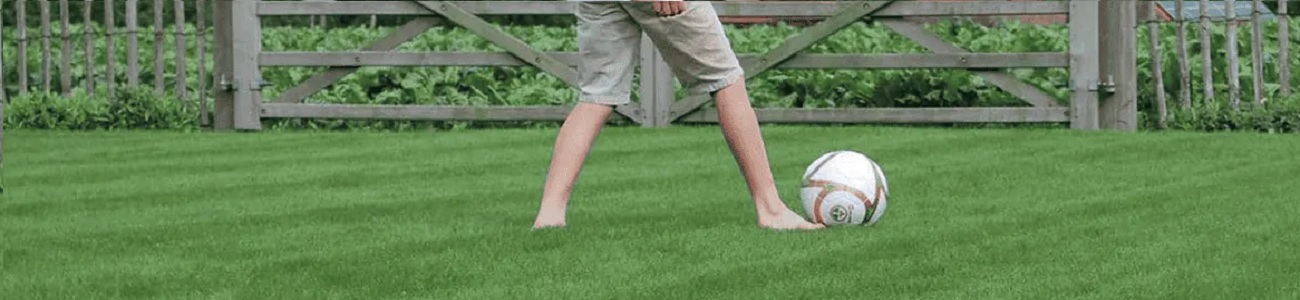 Graszaad voor een sterk en slijtvast speelgazon – Tuintotaalshop