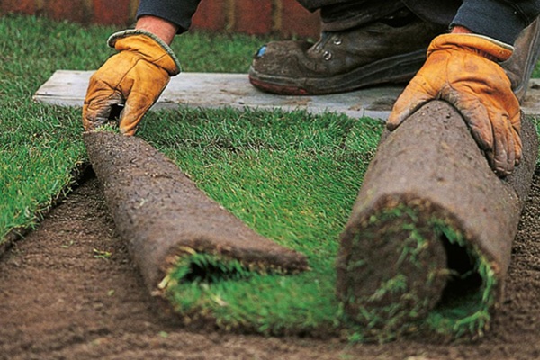 Zelf graszoden leggen binnen één dag een mooi gazon