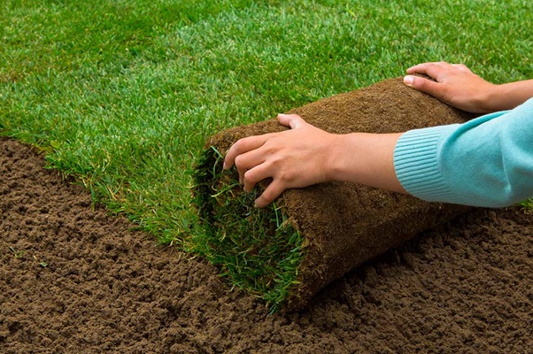 Speelgras graszoden uitrollen