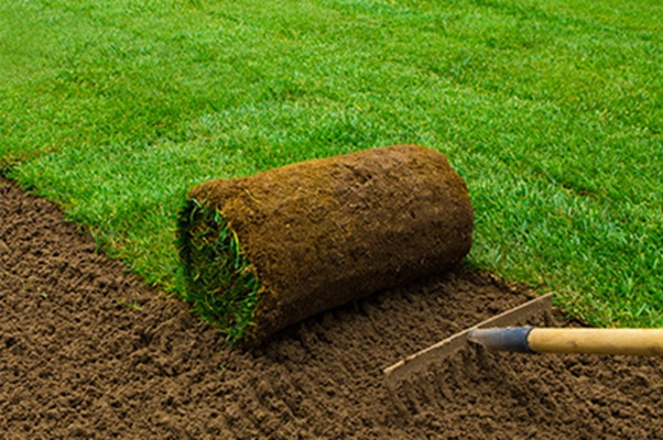 Premium graszoden zelf leggen