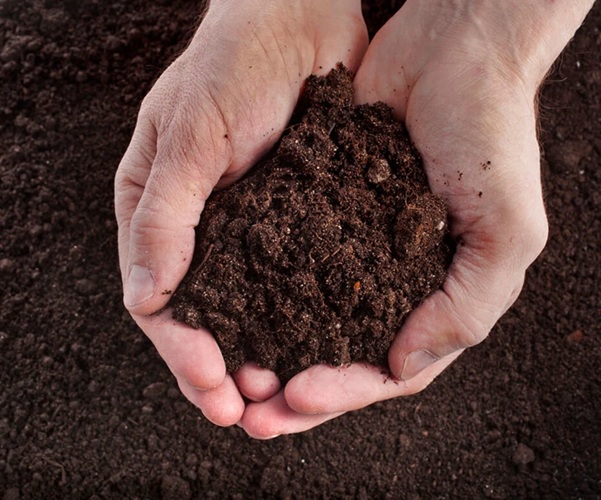 tuinaarde en gazongrond voor tuin en gazon