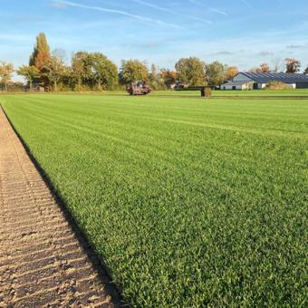 Eco natuurgras graszoden