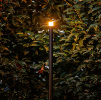 Lightpro Erba Mid 12V