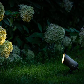 images/productimages/small/kap.png