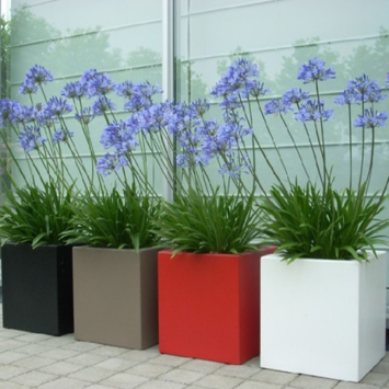 Aluminium plantenbak CARREZ 200x200cm div. hoogtes