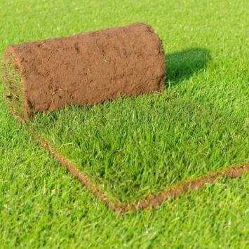 Rol camping/recreatie graszoden