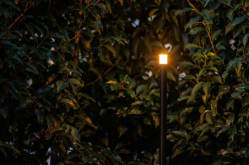 Lightpro Erba Mid 12V