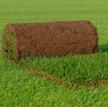 Biologische graszoden