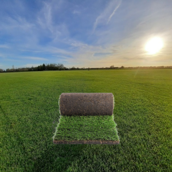 Eco natuurgras graszoden