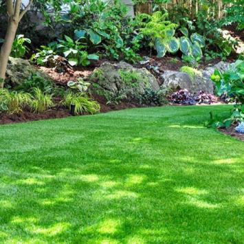 Eco natuurgras graszoden