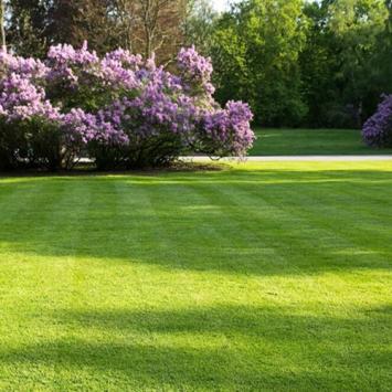 Eco natuurgras graszoden