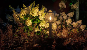 Lightpro Eros Hi