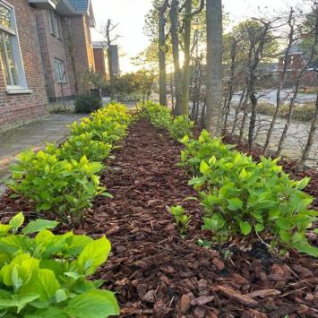 Franse Boomschors Classic Big Bag 2m³ (Gratis bezorgd)