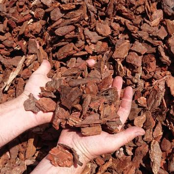 Franse boomschors in de hand