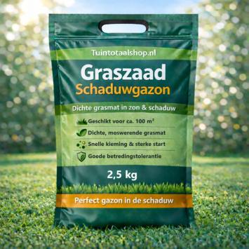 Schaduwgazon graszaad 2,5 kg ca. 100m²