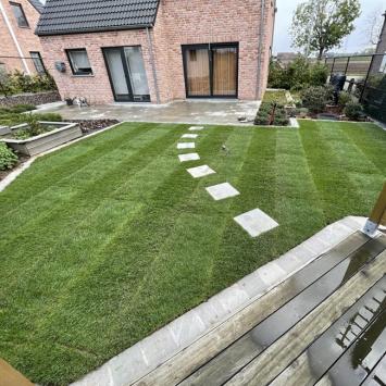 premium speelgazon graszoden in aangelegde tuin