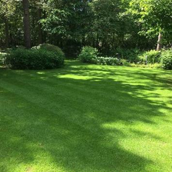 Schaduwgazon graszaad herstel 20-100m²