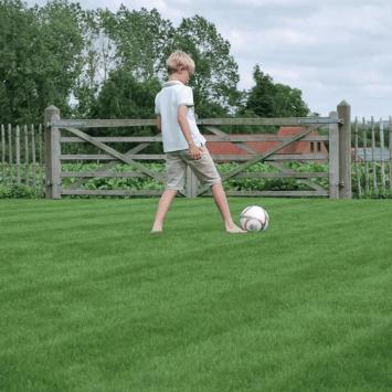 voetballen op een strak speelgazon met graszoden
